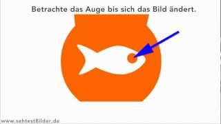 Optische Täuschung GOLDFISCH Nachbild [upl. by Linehan239]