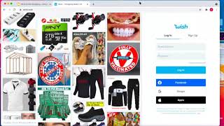 Wish Affordable Online Shopping [upl. by Aisat299]