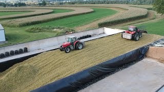 Corn Silage Harvest Begins  Filling the Big Bunk [upl. by Colette]