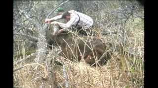 Brown Bear Hunt on Kodiak Island [upl. by Lipfert841]