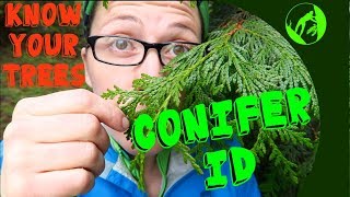 Know Your Trees  Conifer Identification [upl. by Elag933]