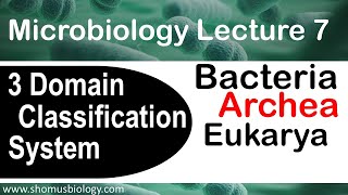 Microbiology lecture 7  3 domain classification system  Archea bacteria and eukarya [upl. by Yakcm]