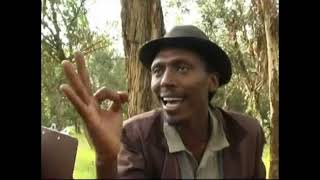 Eritrean comedy suzinino tafla and behabelom Trgum [upl. by Eirret685]