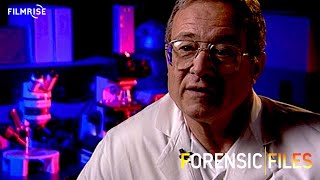 Forensic Files  Season 2 Episode 11  Postal Mortem  Full Episode [upl. by Malanie]