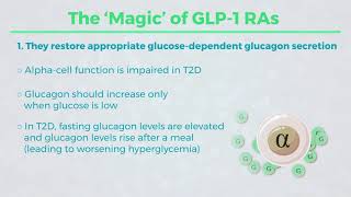 Mechanism of Action for GLP 1 RAs quotThe Howquot [upl. by Herstein714]