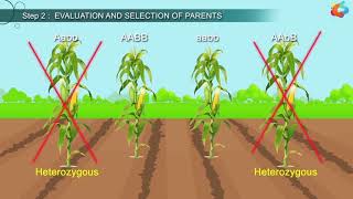 An Introduction To Animal Husbandry [upl. by Johann]