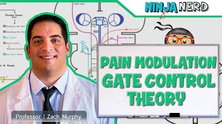 Ascending Tracts  Pain Modulation Gate Control Theory [upl. by Alyal]