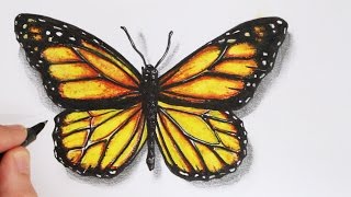 How to Draw a Realistic Butterfly Time Lapse [upl. by Nitin]