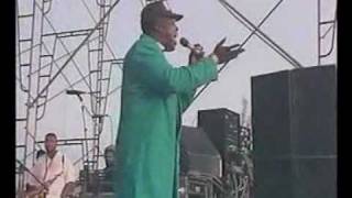 Barrington levy  Too experienced [upl. by Zetes]