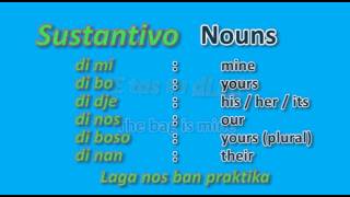 Learn Papiamento  Lesson 6  Possessive pronouns [upl. by Neryt239]