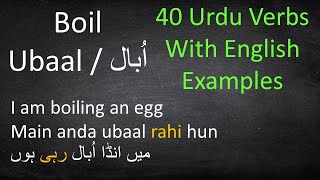 Basic Urdu Verbs with Examples  Urdu Grammar Lesson [upl. by Lleinnad]