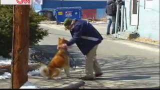 Hachiko A Dogs Story Behind The Scenes [upl. by Lienet]