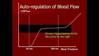 Autoregulation of Cerebral Blood [upl. by Boggers]