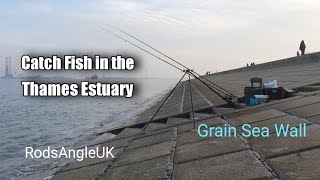 Catch fish in the Thames Estuary GRAIN SEA WALL [upl. by Jess]