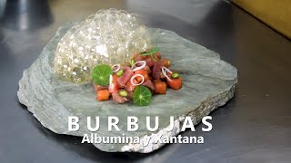 ¿COMO HACER BURBUJAS COMESTIBLES  BURNBUJAS DE PONZU CON ALBUMINA Y XANTANA [upl. by Naus]