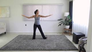 6 Minute Beginner Tai Chi Exercise [upl. by Stelu]