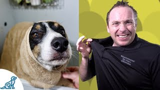 Simple Hacks To Bath Your Dog  Professional Dog Training Tips [upl. by Trista]