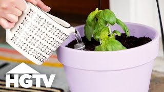 3 SelfWatering Hacks for Your Plants  HGTV [upl. by Iru]