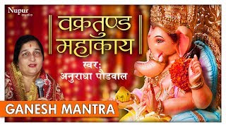 Vakratunda Mahakaya  वक्रतुंड महाकाय  Ganesh Shalok  Anuradha Paudwal [upl. by Nhepets]