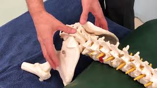 Beyond Chiropractic Sacro Occipital Technique SOT [upl. by Crosby]