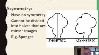 6  Grd 11 Biodiversity Of Animals Lesson Intro Symmetry Cephalisation [upl. by Toddie]