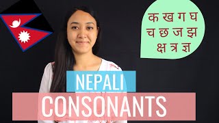 2 Learn Nepali for Beginners  Nepali Consonants [upl. by Abijah]