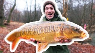 How To Catch Carp with CORN [upl. by Prudy649]