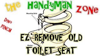 EASLY REMOVE OLD TOILET SEAT  RUSTED  ROUNDED NUTS [upl. by Elie]