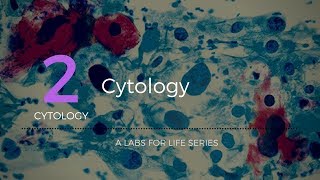 Cytology [upl. by Eido]