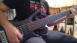 SHOOTS AND LADDERS  KORN  BASS COVER [upl. by Ednargel]