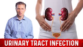 Best Home Remedy for Urinary Tract Infection UTI – Dr Berg [upl. by Telrats423]