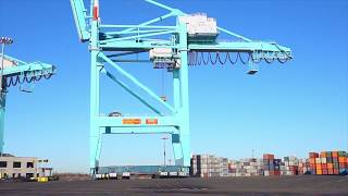 Solutions Howwedoit Sarens SPMTs take on 1700 tonne shipping cranes [upl. by Milde]