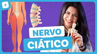 EXERCÍCIOS PARA CURAR NERVO CIÁTICO INFLAMADO [upl. by Elaweda]