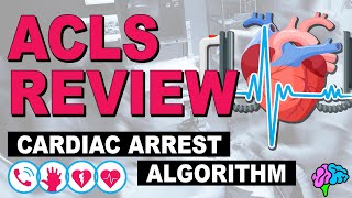 Cardiac Arrest  ACLS Review [upl. by Leschen]