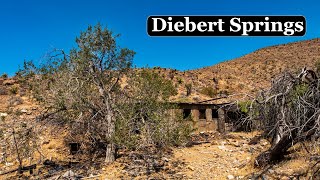 A Hermits Hidden Oasis in the Nevada Desert [upl. by Anawait174]