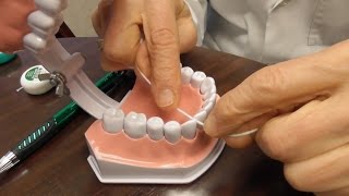 How to Floss The Right Way [upl. by Kolb]