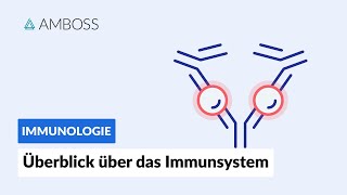 Überblick über das unspezifische und spezifische Immunsystem  Immunologie  AMBOSS Video [upl. by Elyl]