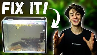 How to Fix Cloudy Water in an Aquarium Easiest Method [upl. by Henri]