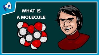 What Is a Molecule [upl. by Corrianne]