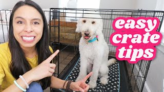 FIRST NIGHT Crate Training 5 Easy Steps 🐶 [upl. by Aken177]