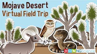 Mojave Desert – Virtual Field Trip [upl. by Adai]