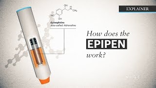 Epipen Changes To Use 2017 [upl. by Yendyc]