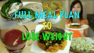 Full Meal Plan to Lose Weight Step by Step Recipes [upl. by Noillid819]