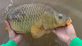 Keep It Simple Carp Fishing  Easy Method For Catching Carp [upl. by Mallin]