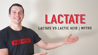 Lactate vs Lactic Acid Explained  Muscle Physiology [upl. by Taffy]