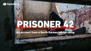 Prisoner 42 life in a North Korean labour camp [upl. by Nauqe784]