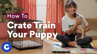 How To Crate Train a Puppy  Chewtorials [upl. by Hercule994]