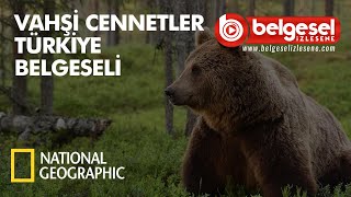 Vahşi Cennetler Türkiye Belgeseli  Türkçe Dublaj [upl. by Leiram]