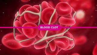 Coagulation Cascade Explained [upl. by Enicul787]