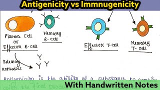 Antigenicity and Immunogenicity  Immunology Lecture 20 [upl. by Mctyre]